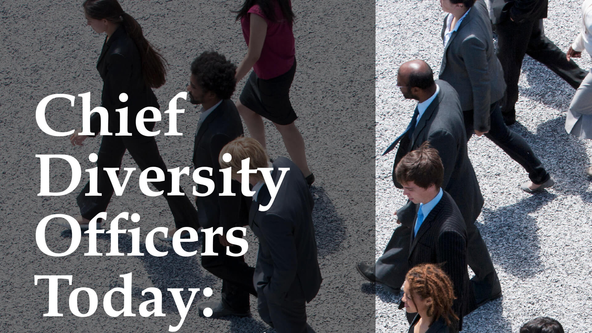 Chief Diversity Officers Today: Paving the Way for Diversity & Inclusion Success